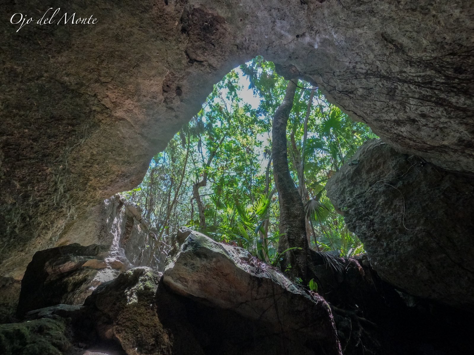 Punta Venado El ultimo gran corredor biologico de Playa del Carmen bajo amenaza - 2