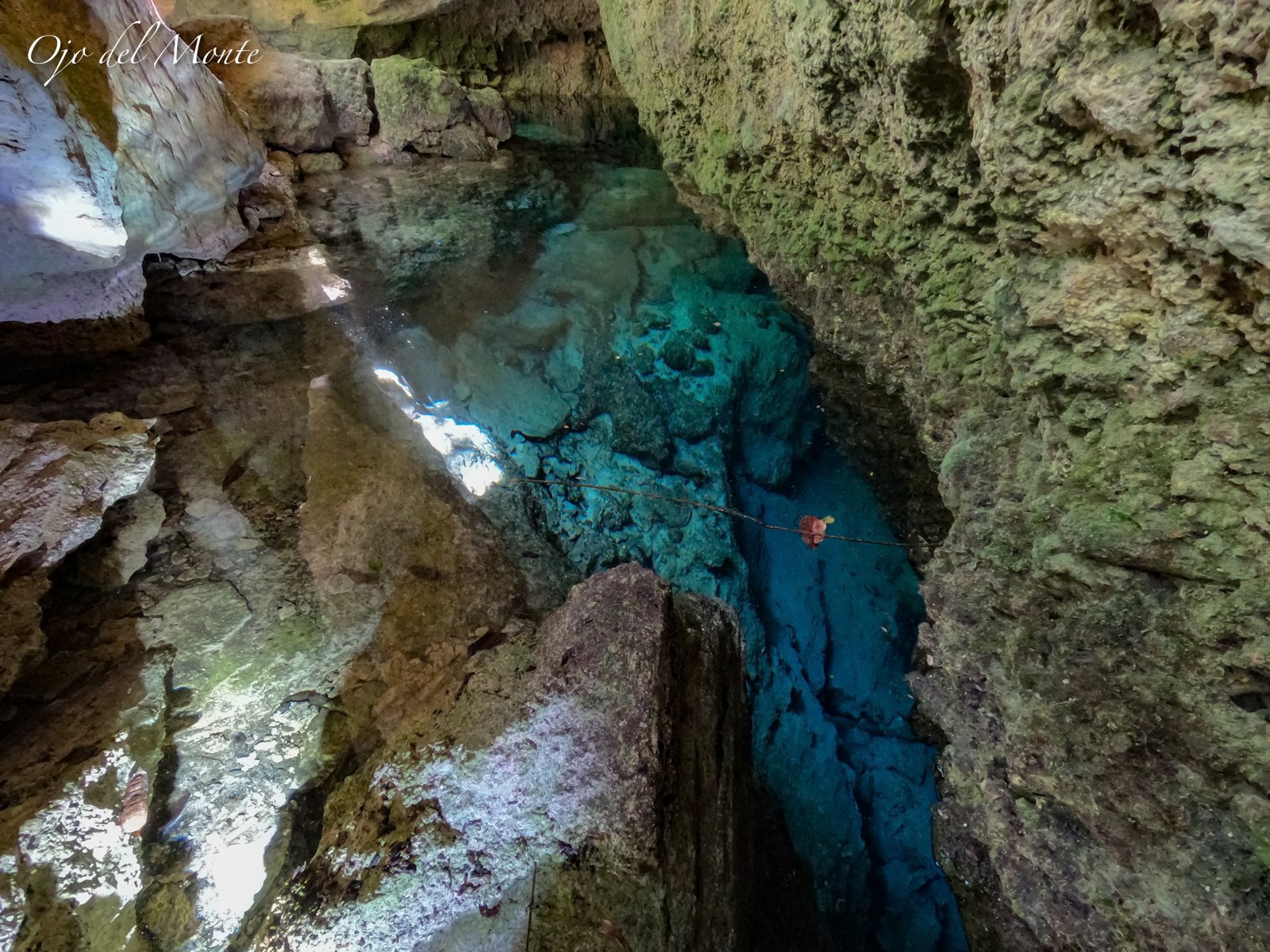 Punta Venado El ultimo gran corredor biologico de Playa del Carmen bajo amenaza - 3