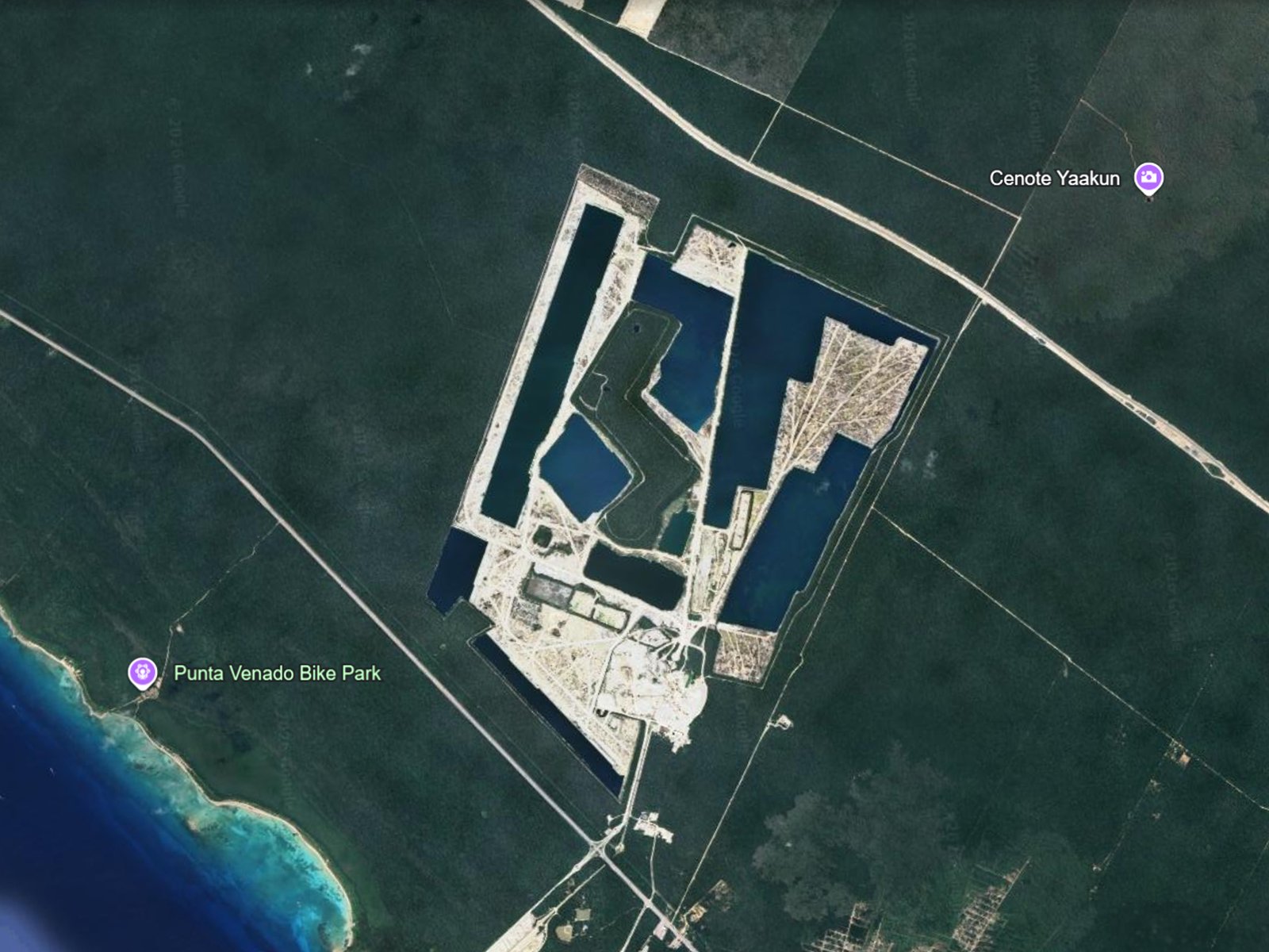 Punta Venado El ultimo gran corredor biologico de Playa del Carmen bajo amenaza - 5